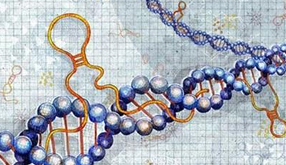 长沙艾碧维生物科技有限公司官网正式上线