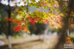 株洲建立网站怎么建