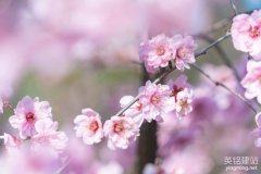 望城建站公司优化