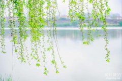 望城网站搭建