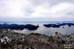 望城企业网站搭建