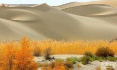 宁乡网站建设要怎么做？（宁乡网站建设的6个步骤）