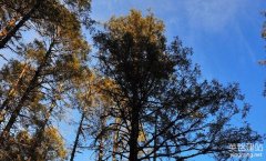 长沙律师网站建设有哪些细节？（长沙律师网站建设的4个要点）