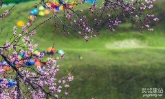 长沙公司网站建设的重点是什么？（长沙公司网站建设的3个主要目的）